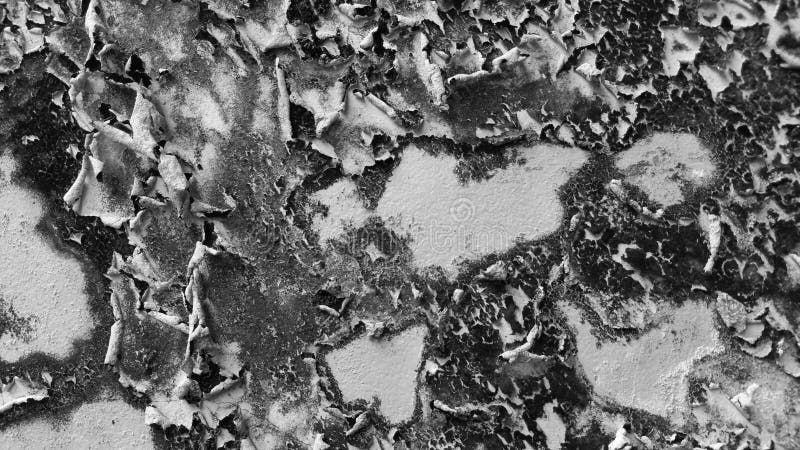 Old wall texture with grayscale soft colour background. The background of the wall paint on the walls of the house which is affected by weather conditions, causing damage and peeling of the beautiful wall paint texture. Retro grayscale paint stock images, royalty-free photos and pictures