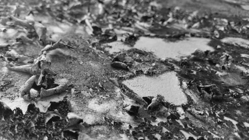 Old wall texture with grayscale soft colour background. The background of the wall paint on the walls of the house which is affected by weather conditions, causing damage and peeling of the beautiful wall paint texture. Retro grayscale paint stock images, royalty-free photos and pictures
