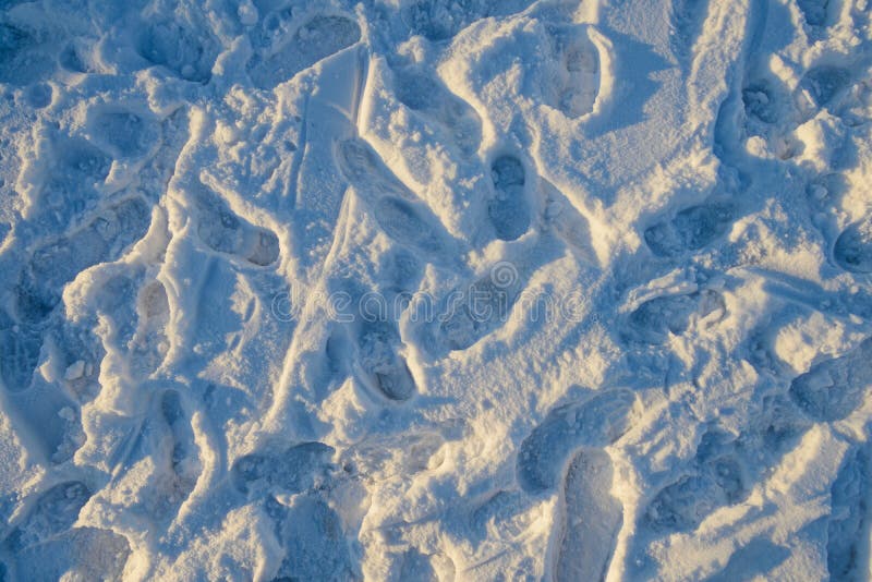 Pegadas de sapatas humanas na neve imagem de stock royalty free Pegadas de sapatas humanas na neve imagem de stock royalty free
