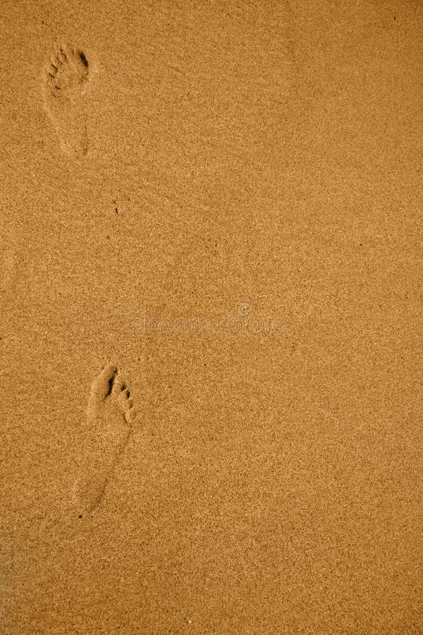 Areia Movediça No Oceano Índico Imagem de Stock - Imagem de praia, arenoso:  112344503