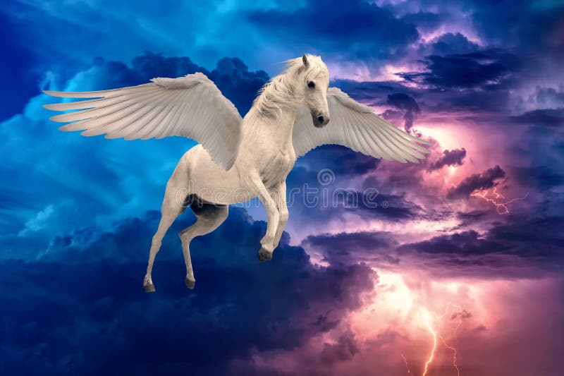Pegasus voou o voo legendário do cavalo branco com asas espalhadas fotografia de stock Pegasus voou o voo legendário do cavalo branco com asas espalhadas fotografia de stock