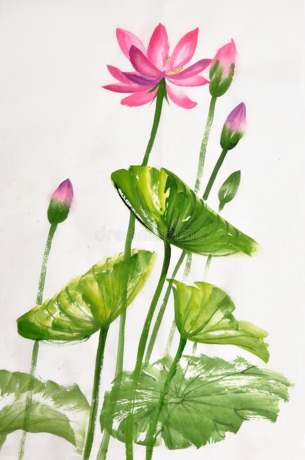Peinture d'aquarelle de fleur de Lotus illustration de vecteur Peinture d'aquarelle de fleur de Lotus illustration de vecteur