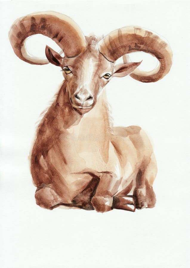 Peinture d'aquarelle de Ram illustration stock Peinture d'aquarelle de Ram illustration stock