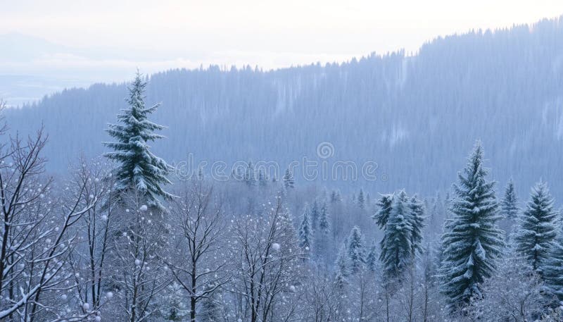 Peisaj forestier acoperit cu zăpadă, cu o colecție densă de copaci înalți și verzi vector illustration