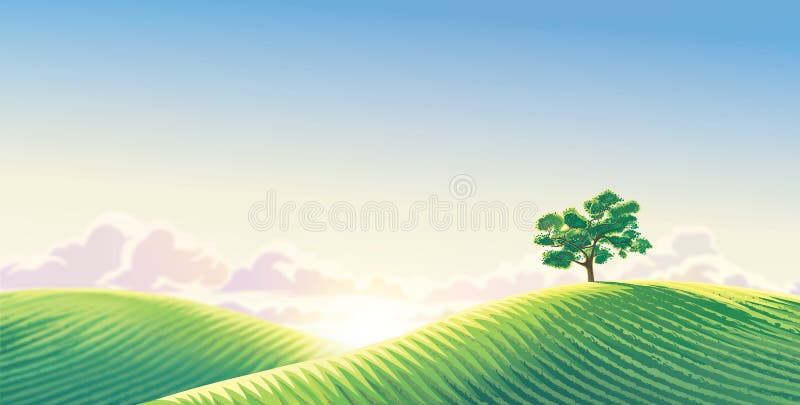 Peisaj rural cu câmpuri semănate și un copac singuratic. royalty free illustration