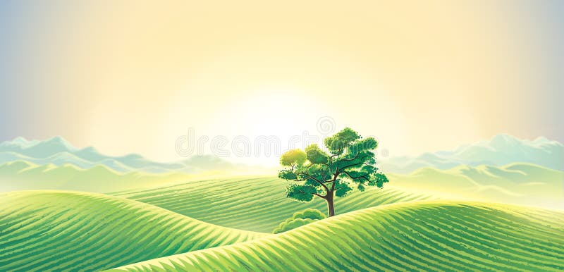 Peisaj rural de zori cu arbore singuratic stock illustration