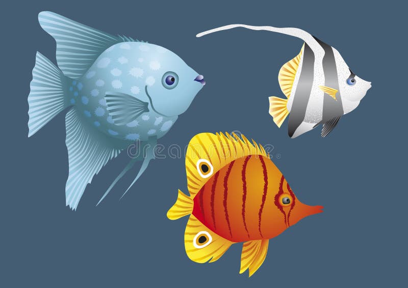 Peixes coloridos ilustração royalty free Peixes coloridos ilustração royalty free