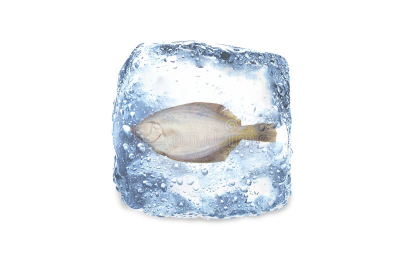 Peixes congelados, gelo