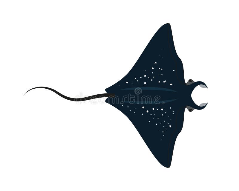 Peixes da arraia-lixa dos desenhos animados no fundo branco ilustração stock Peixes da arraia-lixa dos desenhos animados no fundo branco ilustração stock