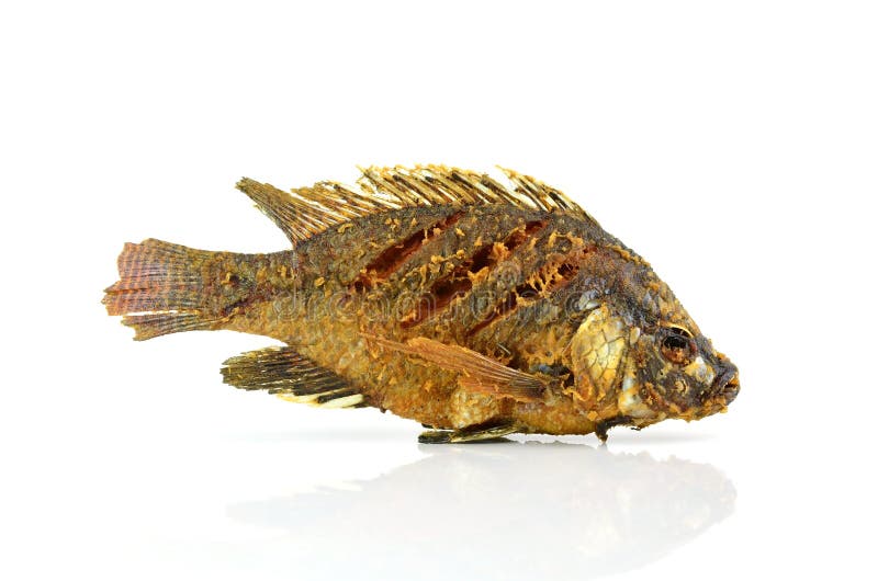 Peixes de Fried Tilapia fritados no fundo branco imagens de stock Peixes de Fried Tilapia fritados no fundo branco imagens de stock