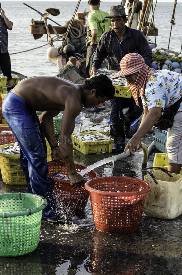 Peixes de lavagem do trabalhador não identificado na cesta fotografia de stock Peixes de lavagem do trabalhador não identificado na cesta fotografia de stock