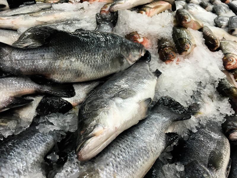 Peixes frescos no gelo no mercado super
