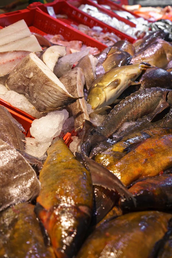 Peixes frescos para a venda no mercado do marisco fotos de stock Peixes frescos para a venda no mercado do marisco fotos de stock