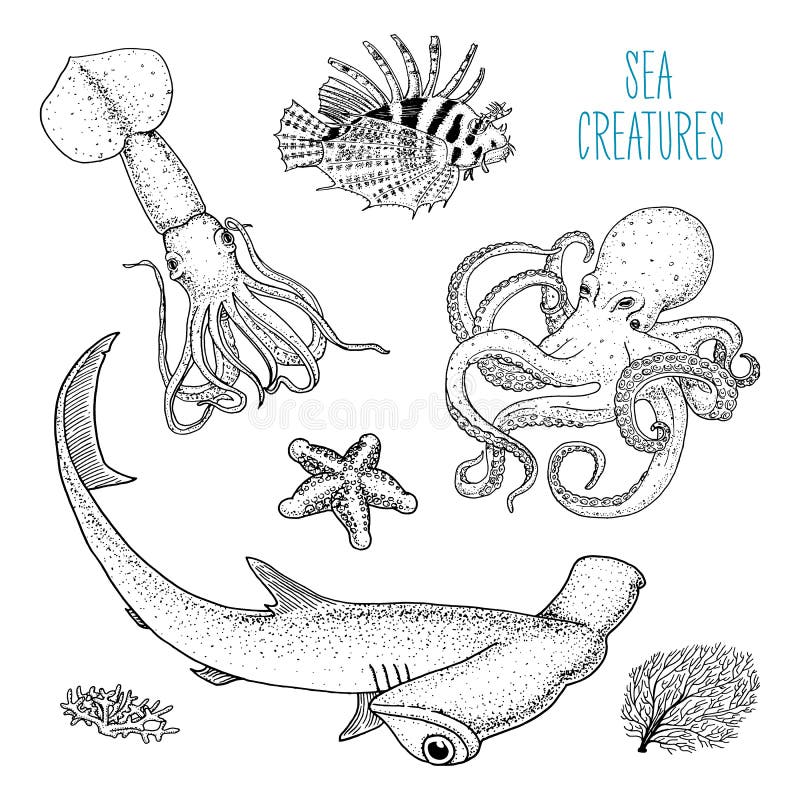 Peixes ou polvo da criatura do mar e calamar, calamari lionfish vermelho e grande tubarão de hammerhead mão gravada tirada em vel ilustração royalty free Peixes ou polvo da criatura do mar e calamar, calamari lionfish vermelho e grande tubarão de hammerhead mão gravada tirada em vel ilustração royalty free
