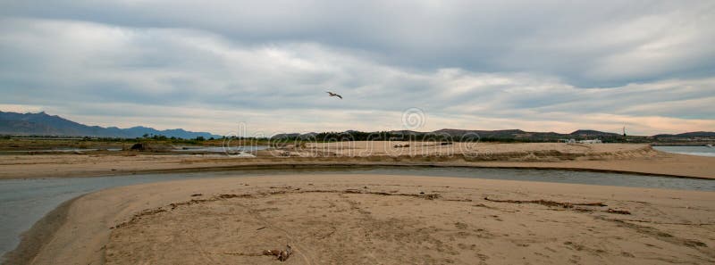 Pelikan, der über Fluss-Anlegestellen-Mündungseinlaß bei San Jose Del Cabo in Baja California Mexiko fliegt stockfotos Pelikan, der über Fluss-Anlegestellen-Mündungseinlaß bei San Jose Del Cabo in Baja California Mexiko fliegt stockfotos