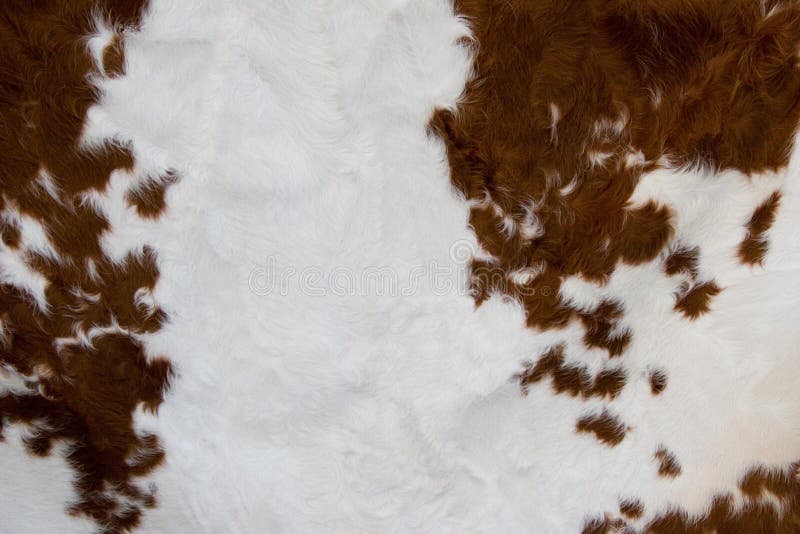 Pelle Bovina, Pelle Liscia E Spessa, Pelle Da Intaglio, Pelle - Foto 6