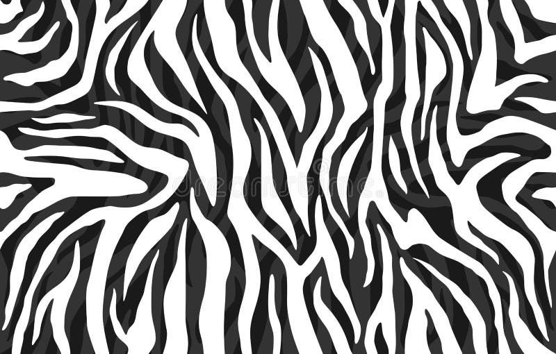 Pelle della zebra, modello delle bande Stampa animale, struttura dettagliata e realistica in bianco e nero