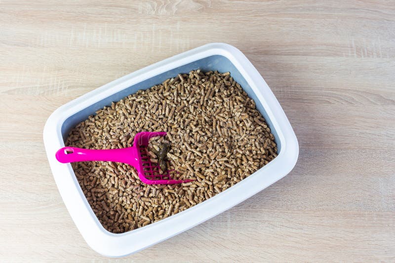 Pellet Litter Box With Shovel Picks Up Debris Stock Image Image of