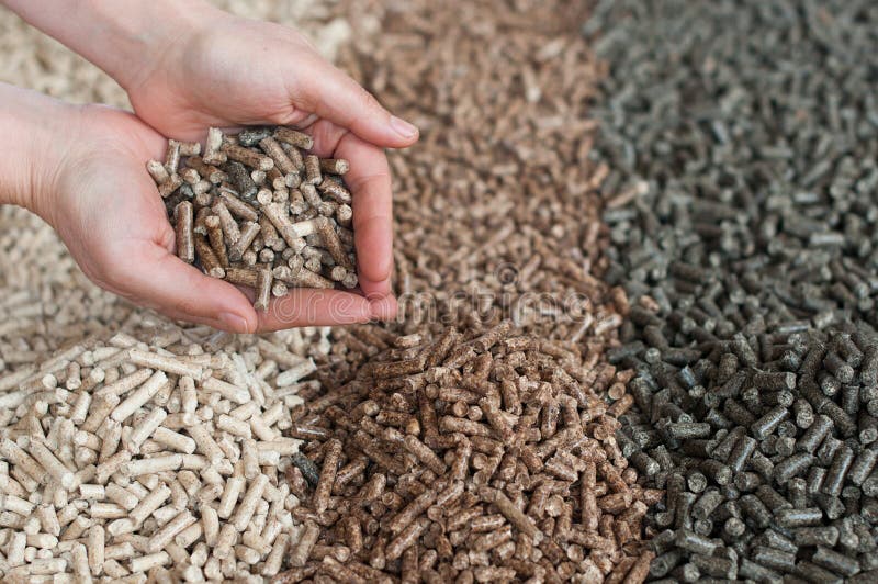 Different kind of pellets in female hands- pine,beech,sunflower. Pellets biomass stock images, royalty-free photos and pictures