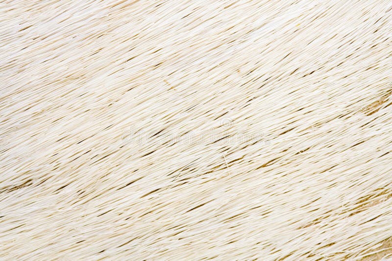 Pelo animal blanco imagen de archivo. Imagen de animal - 8377159