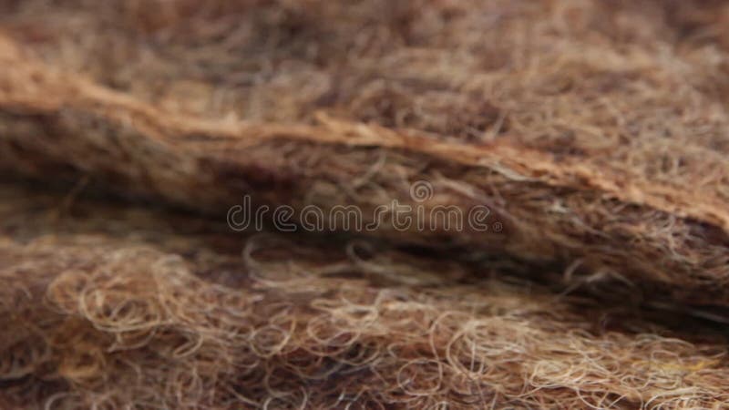 Pelo de caballo tapizado de relleno