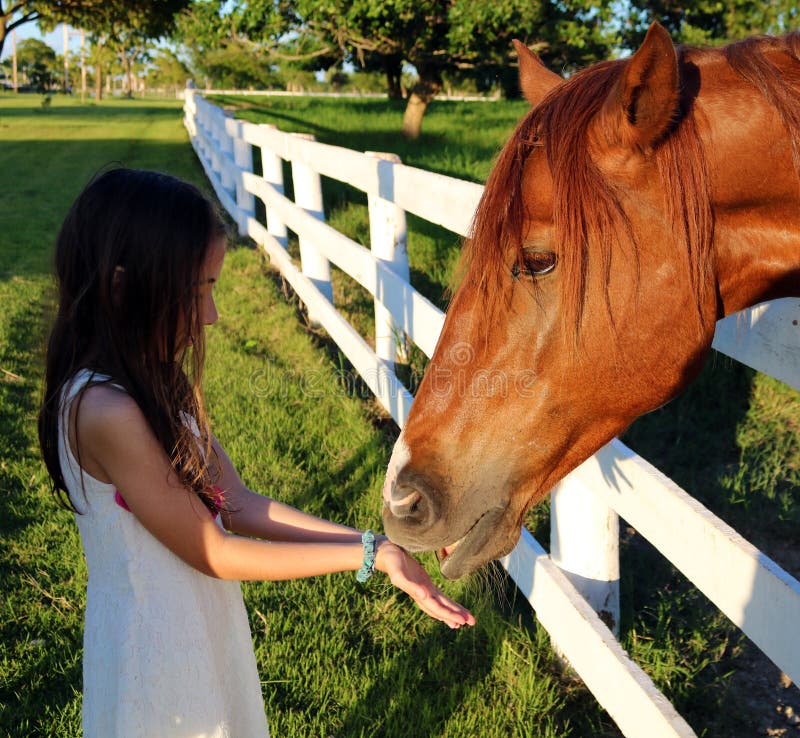 Pelo largo del caballo hermoso con la niña foto de archivo libre de regalías Pelo largo del caballo hermoso con la niña foto de archivo libre de regalías