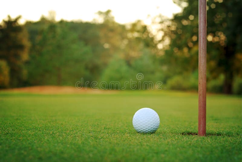 White golf ball on putting green next to hole and flag post with a bunker, trees, and sunlight in the background. White golf ball on putting green next to hole and flag post with a bunker, trees, and sunlight in the background