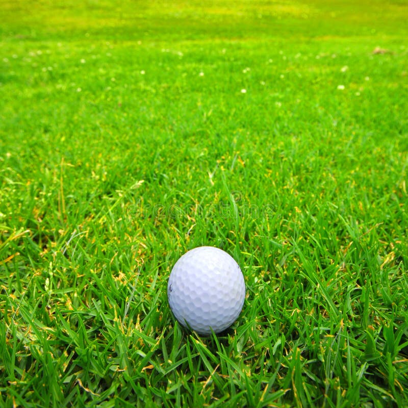 Golf ball on fairway of beautiful golf course. Golf ball on fairway of beautiful golf course
