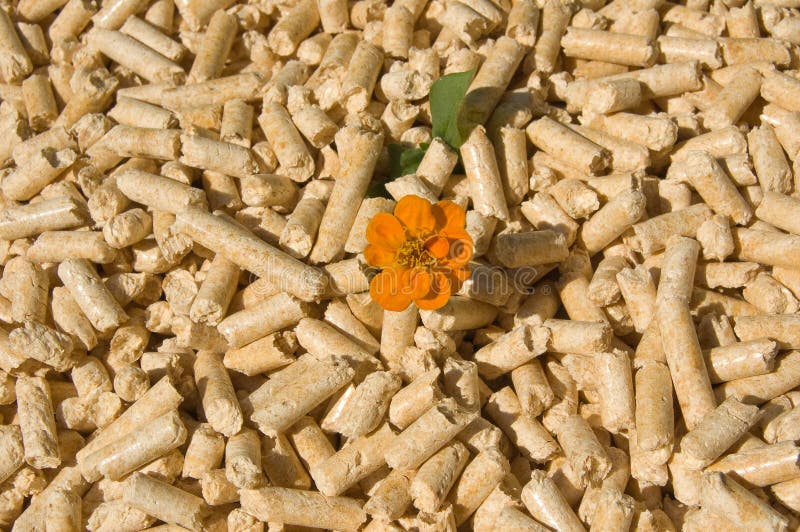 Pelotas e flor de madeira imagem de stock Pelotas e flor de madeira imagem de stock