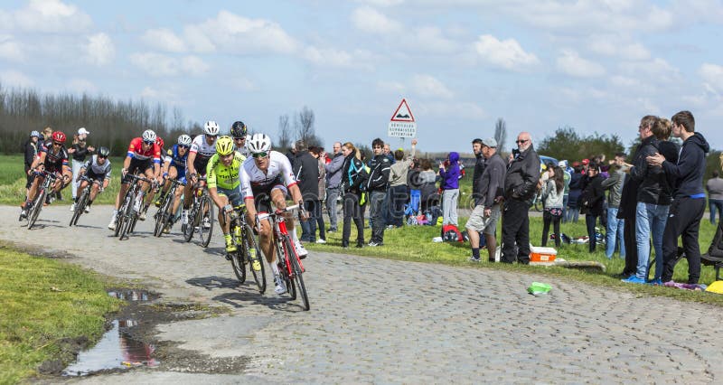 Hornaing ,France - April 10,2016: The peloton, including the biggest favourites Peter Sagan and Fabian Cancellara, riding on a paved road in Hornaing, France during Paris Roubaix on 10 April 2016. Hornaing ,France - April 10,2016: The peloton, including the biggest favourites Peter Sagan and Fabian Cancellara, riding on a paved road in Hornaing, France during Paris Roubaix on 10 April 2016.