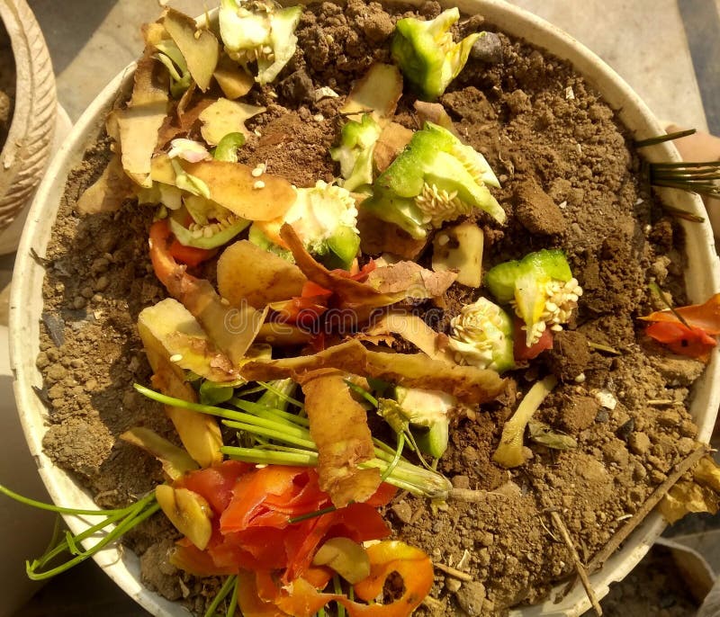 Pelures de légumes pour compost maison