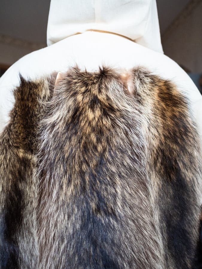 Pelzhäute genäht zum Mantelplan auf Mannequin stockbild Pelzhäute genäht zum Mantelplan auf Mannequin stockbild