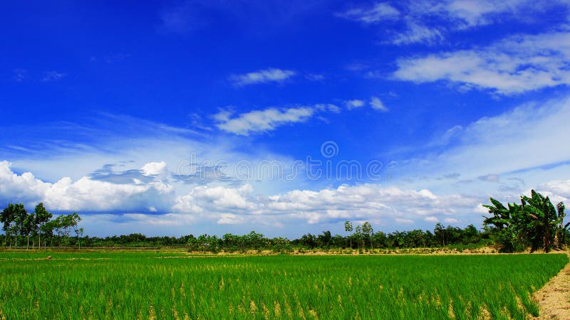 92+ Gambar Pemandangan Free Download Terbaik 92+ Gambar Pemandangan Free Download Terbaik