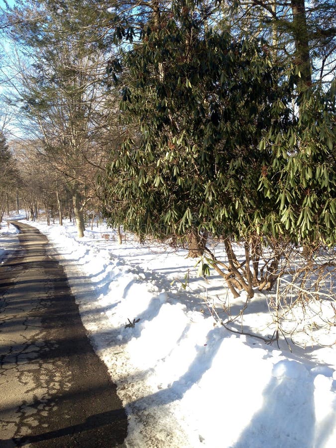 Pemberwick park stock image. Image of park, snow, greenwich 75193945