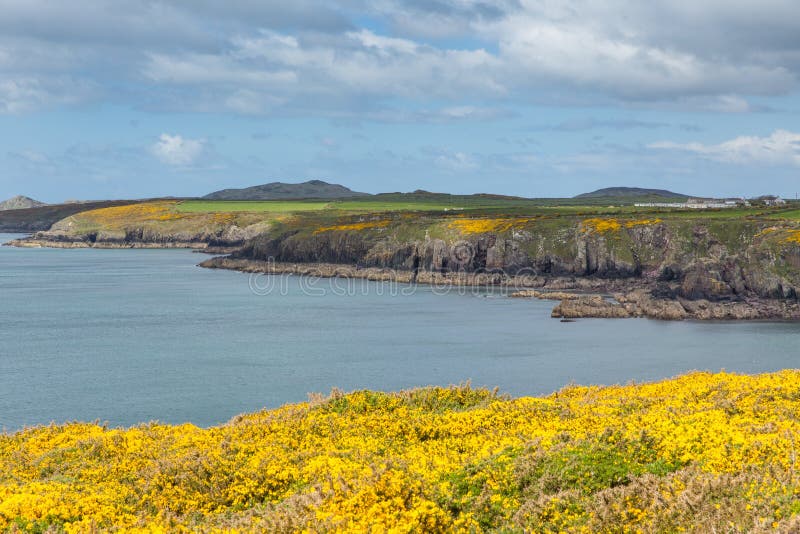 Küste von Pembrokeshire, St Brides Bay, Wales lizenzfreies stockbild