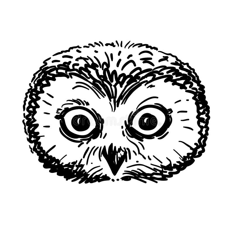 Pen and Ink Owl Head Sketch Stock Vector - Illustration of face, hand:  78279531