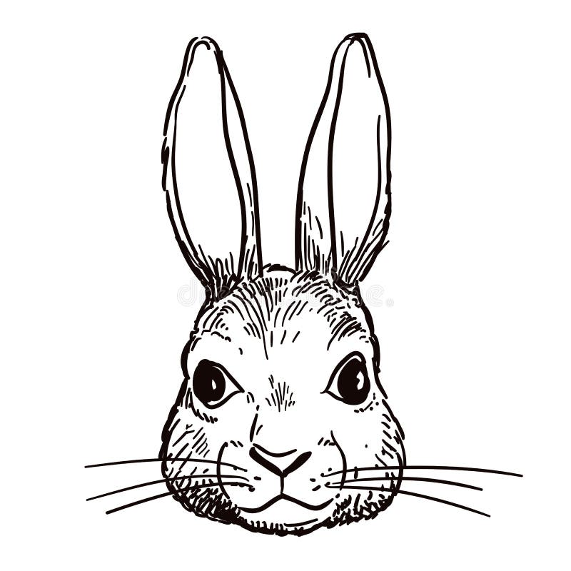 Rabbit Stock Illustrations – 349,607 Rabbit Stock Illustrations