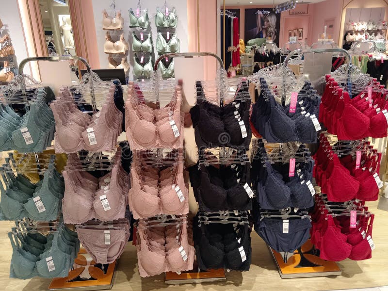 https://thumbs.dreamstime.com/b/penang-malaysia-february-display-fashion-lingerie-department-store-shopping-mall-271250807.jpg