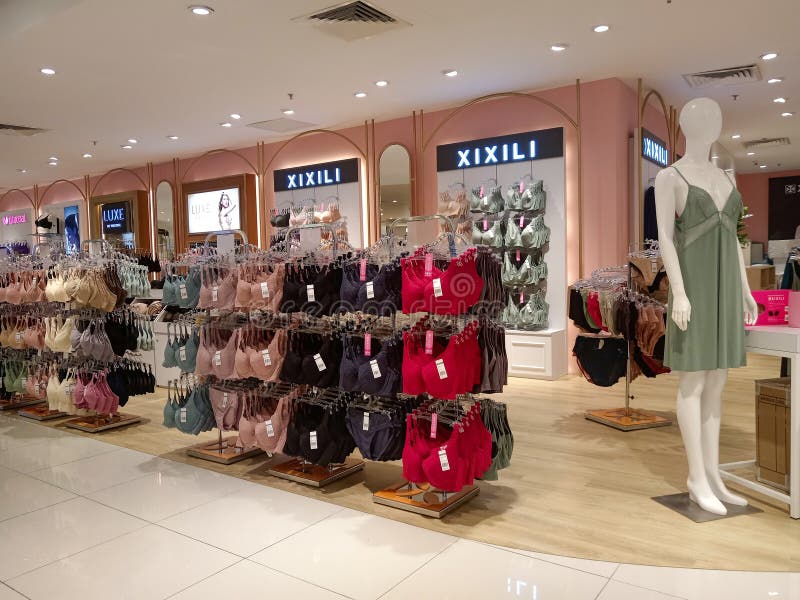 Modern Lingerie Shop Interior In A Mall Stock Photo, Picture and Royalty  Free Image. Image 81866089.