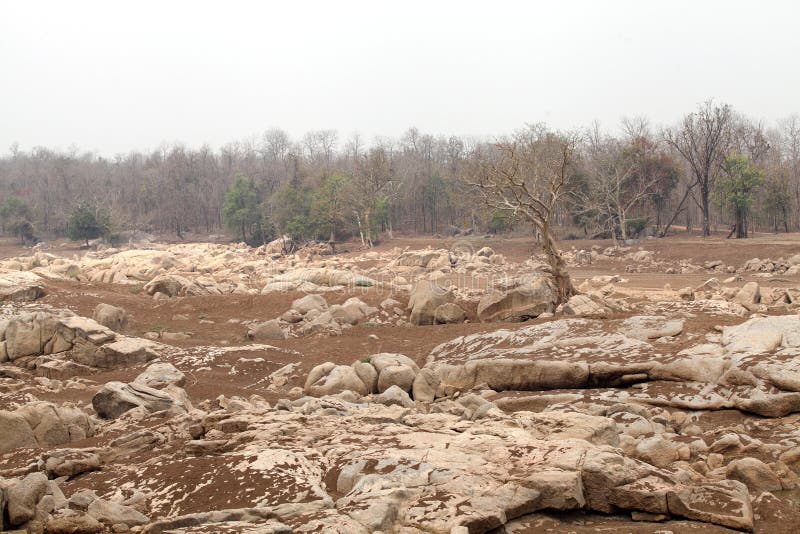 Pench river bed in pench tiger reserve