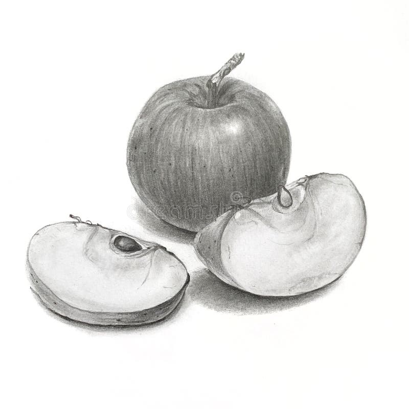 Drawing Apples | Jill's Art Journal