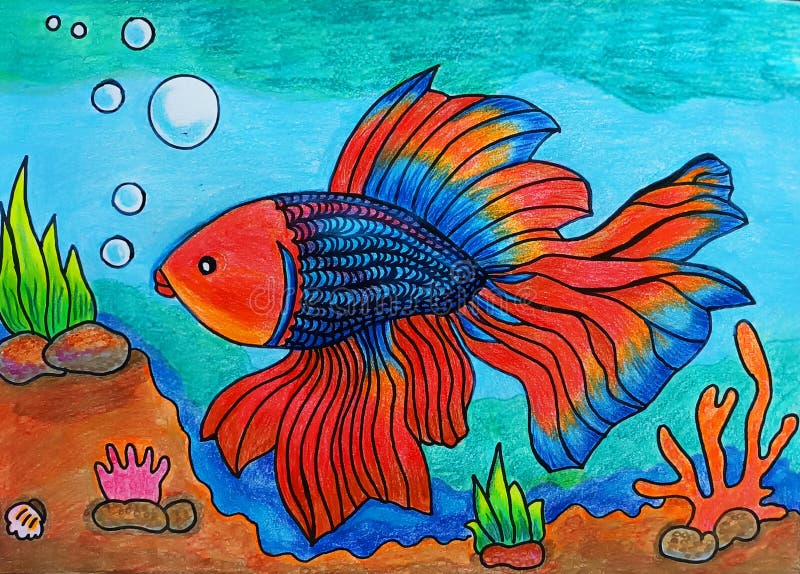 pencil colored realistic drawing halfmoon blue red bettafish betta splendens swimming underwater 273080757