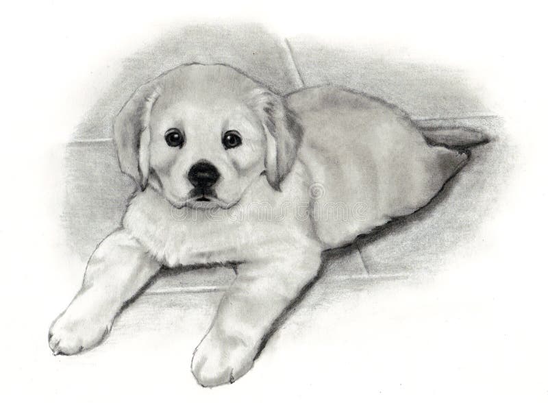 Update more than 197 puppy pencil sketch latest