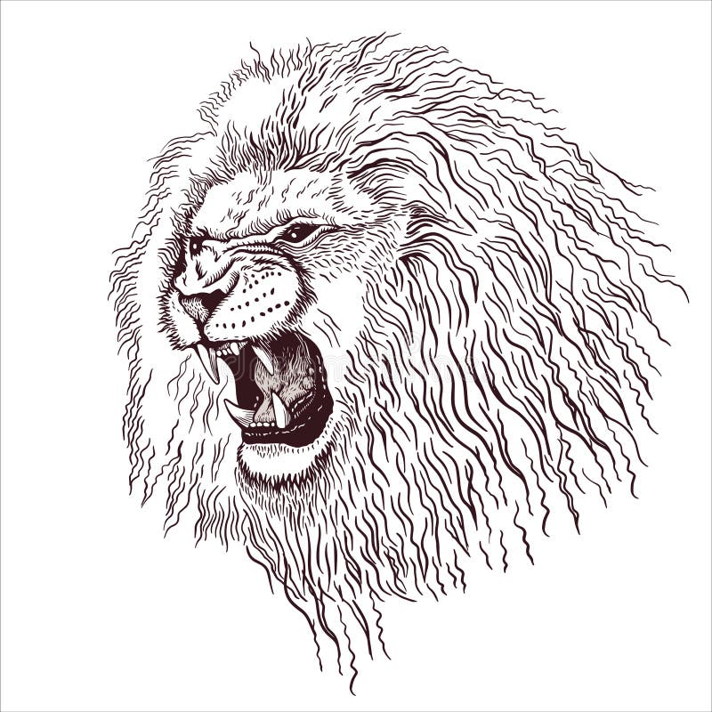 pencil drawing head roaring lion minimalist style suitable logo tattoo interior decoration paintings print 252563514