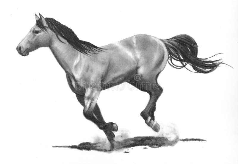 Pencil Drawing of Running Horse Stock Photo - Image of distance, animal