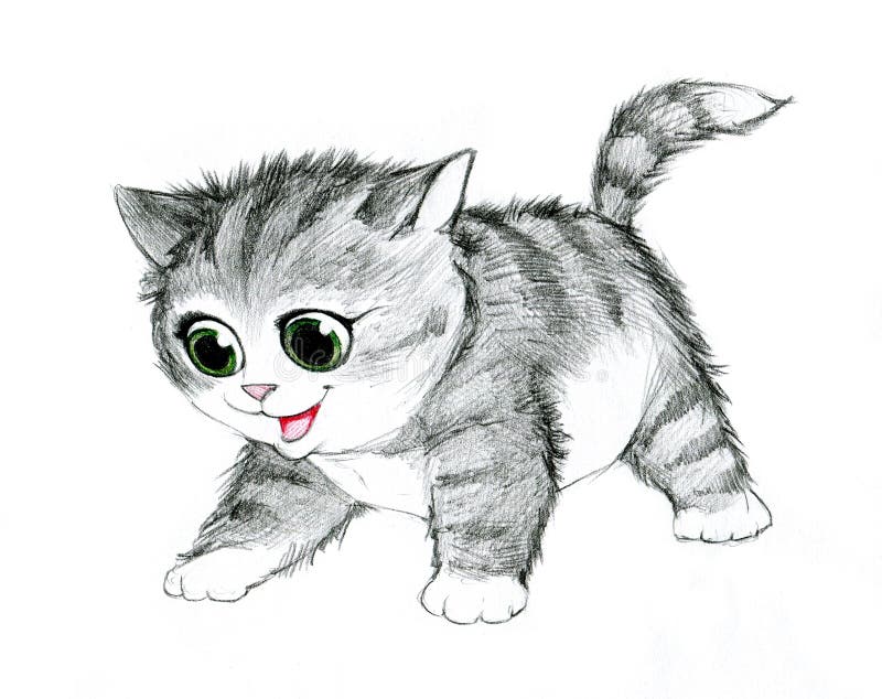 Pencil illustration of a cat