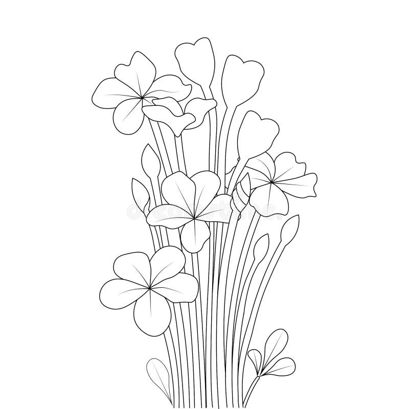 https://thumbs.dreamstime.com/b/pencil-line-art-design-flower-coloring-page-beautiful-sketch-kids-253462143.jpg