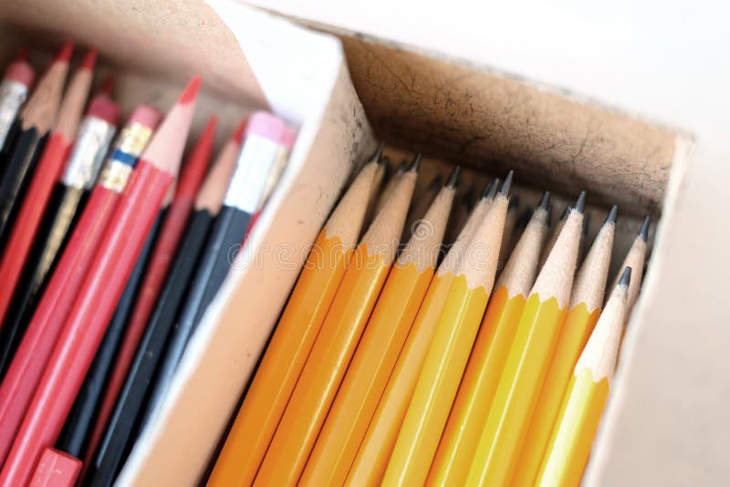 Pencils in Box with Erasers for Work or Business Stock Image Image of