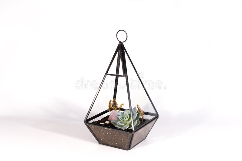 Pendant terrarium with succulents on a white background royalty free stock photos Pendant terrarium with succulents on a white background royalty free stock photos