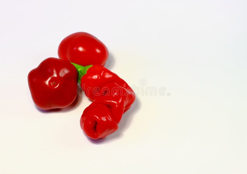 20 Semi Di Peperoncino Peter Pepper | Semi Dal Mondo